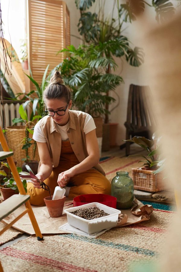 Comment choisir et entretenir des plantes d'intérieur pour un bureau à domicile ?