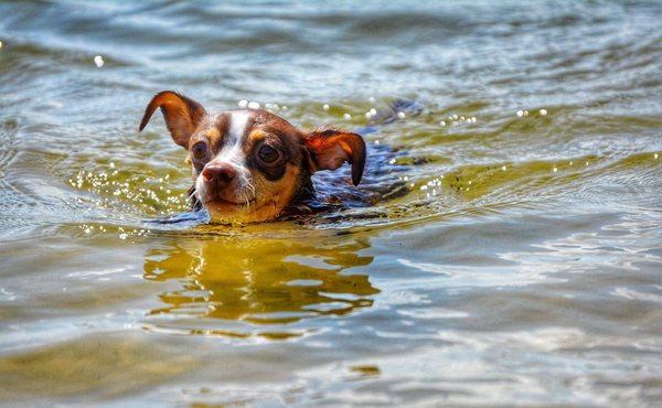 Quels sont les meilleurs conseils pour débuter en calligraphie moderne ?