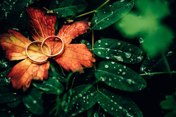 Bague en argent, en or ou en plaqué or : laquelle choisir ?